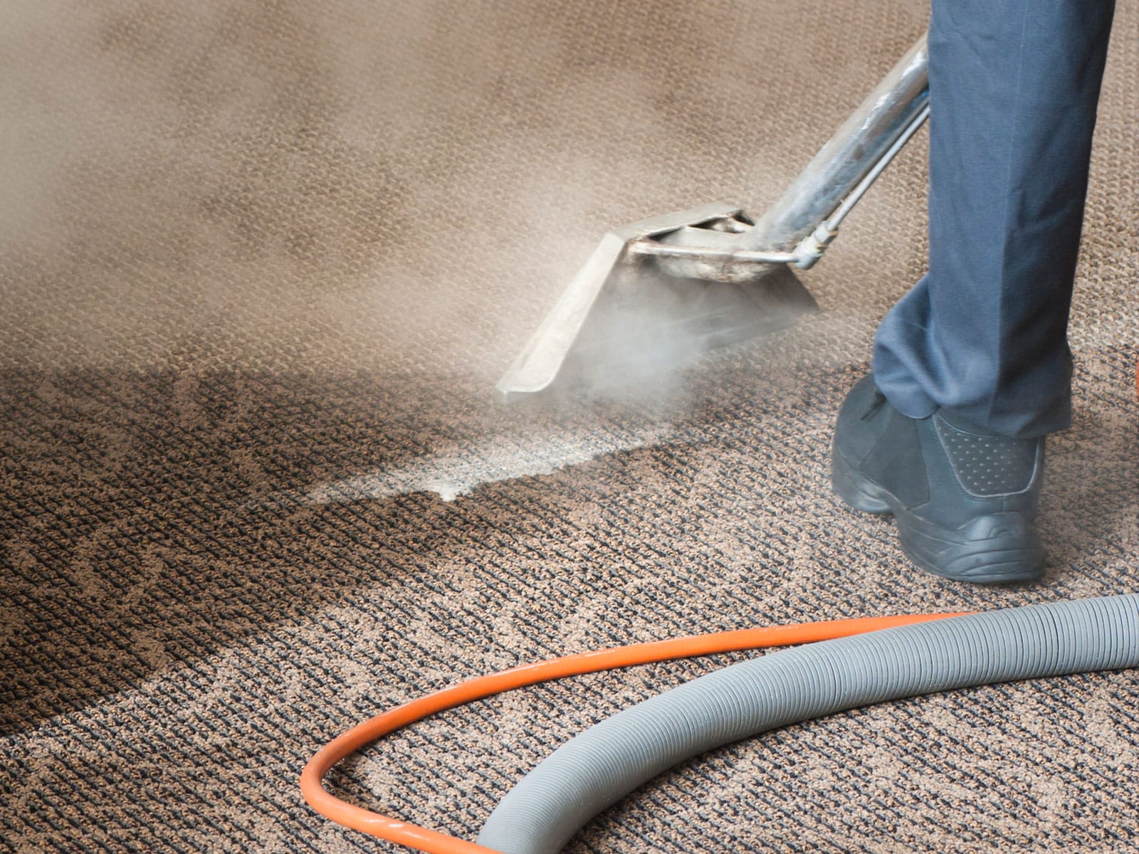 Carpet Cleaning